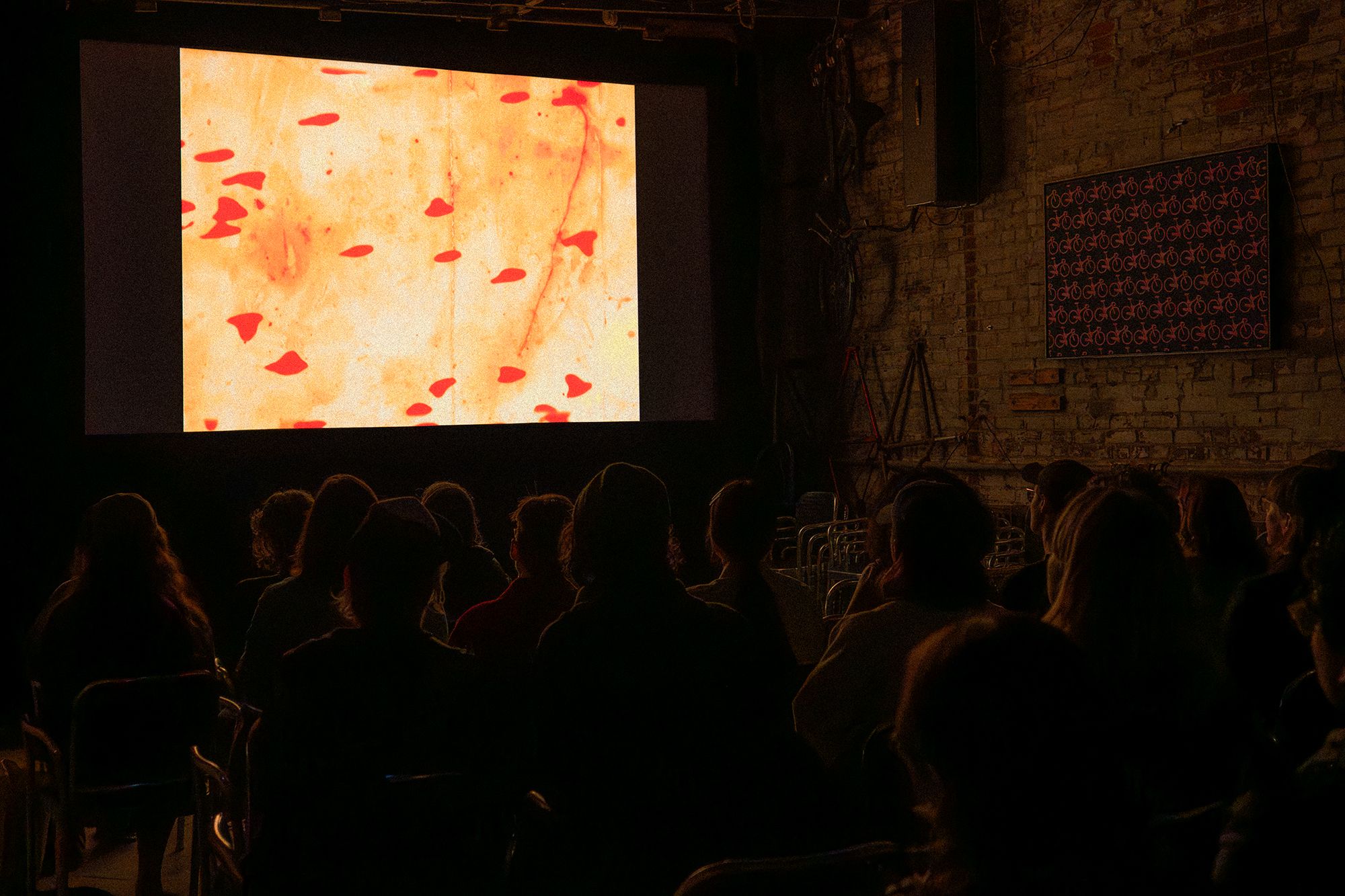 Images Festival, 2026.
