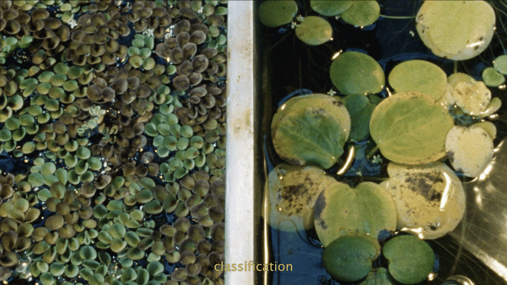 Image courtesy of Eva Swiatkowski