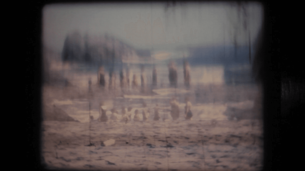 Slightly out-of-focus, muted-toned image.