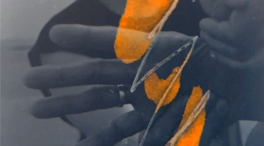 twenty-five years swayed between our teeth. Image courtesy of Sharlene Bamboat.