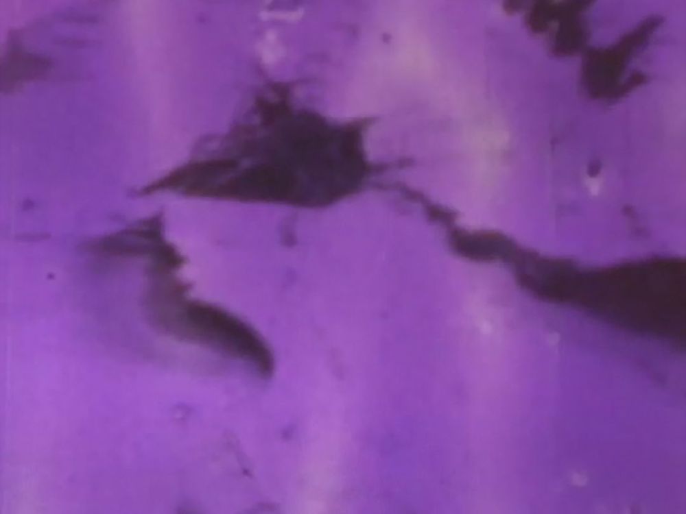 Textured, abstract film still resembles what appears to be cracks on a concrete wall or floor. The image is overlaid in a saturated purple hue.